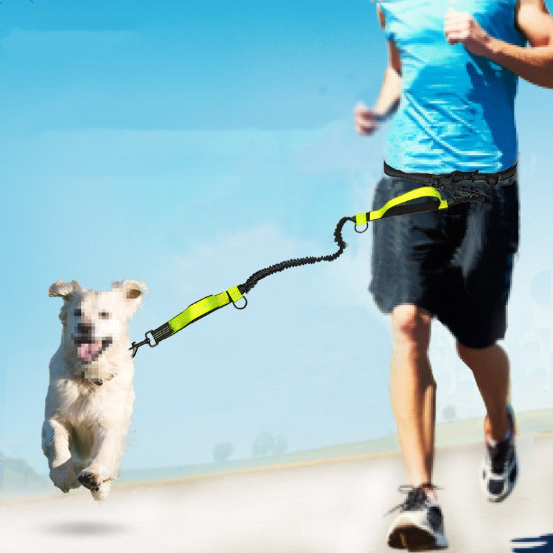 Multifunctional Running Reflective Double Telescopic Pet Leash Lead Rope Chain