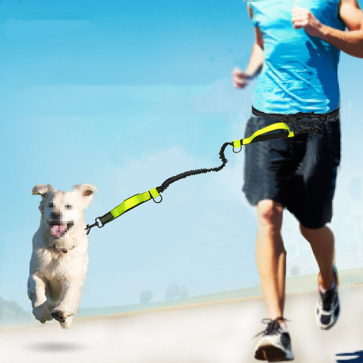 Multifunctional Running Reflective Double Telescopic Pet Leash Lead Rope Chain