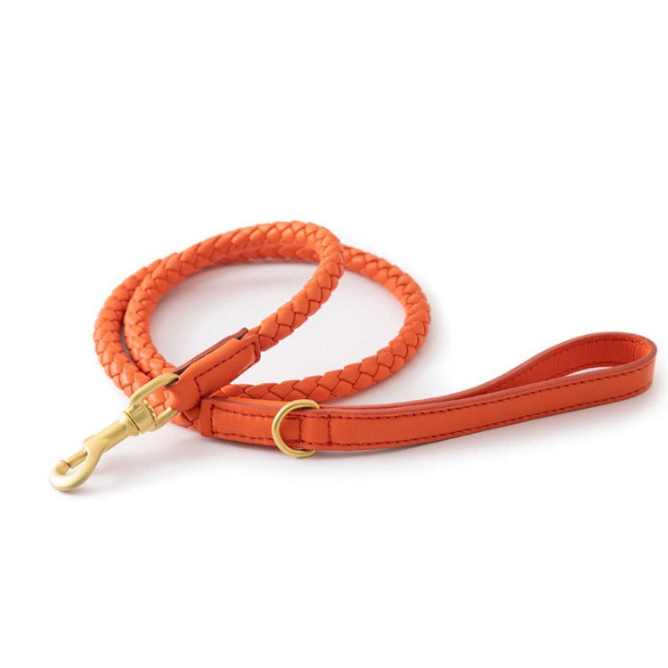 High End Large Pet Collar Sturdy Durable Pet Harness