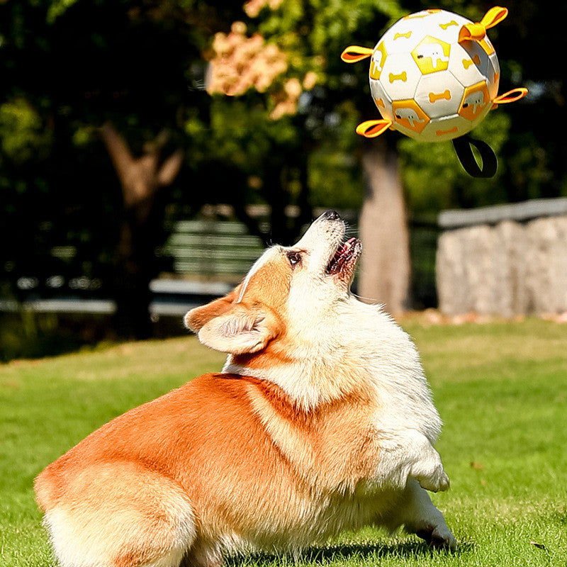 Interactive Football Pet Outdoor Chew Toy Durable Long Lasting