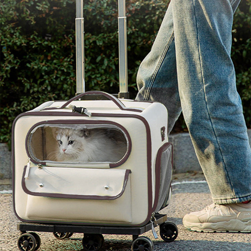 Anti-Stress Transparent Pet Trolley Backpack Bag