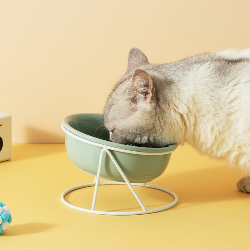Ceramic Double Pet Feeding Bowl Food And Water Dish