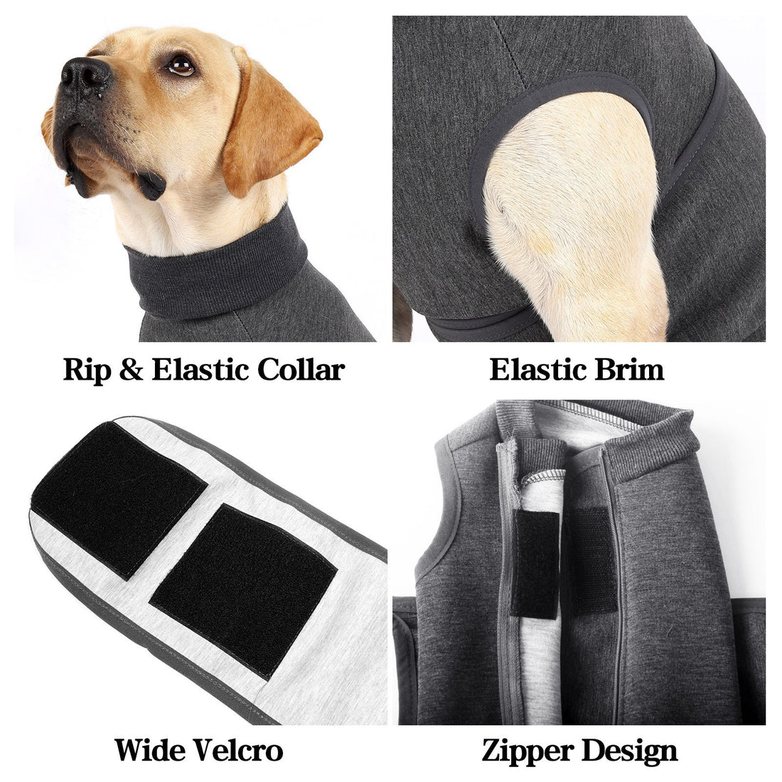 Polyester Comfort Cotton Double Layer Pet Jacket Apparel