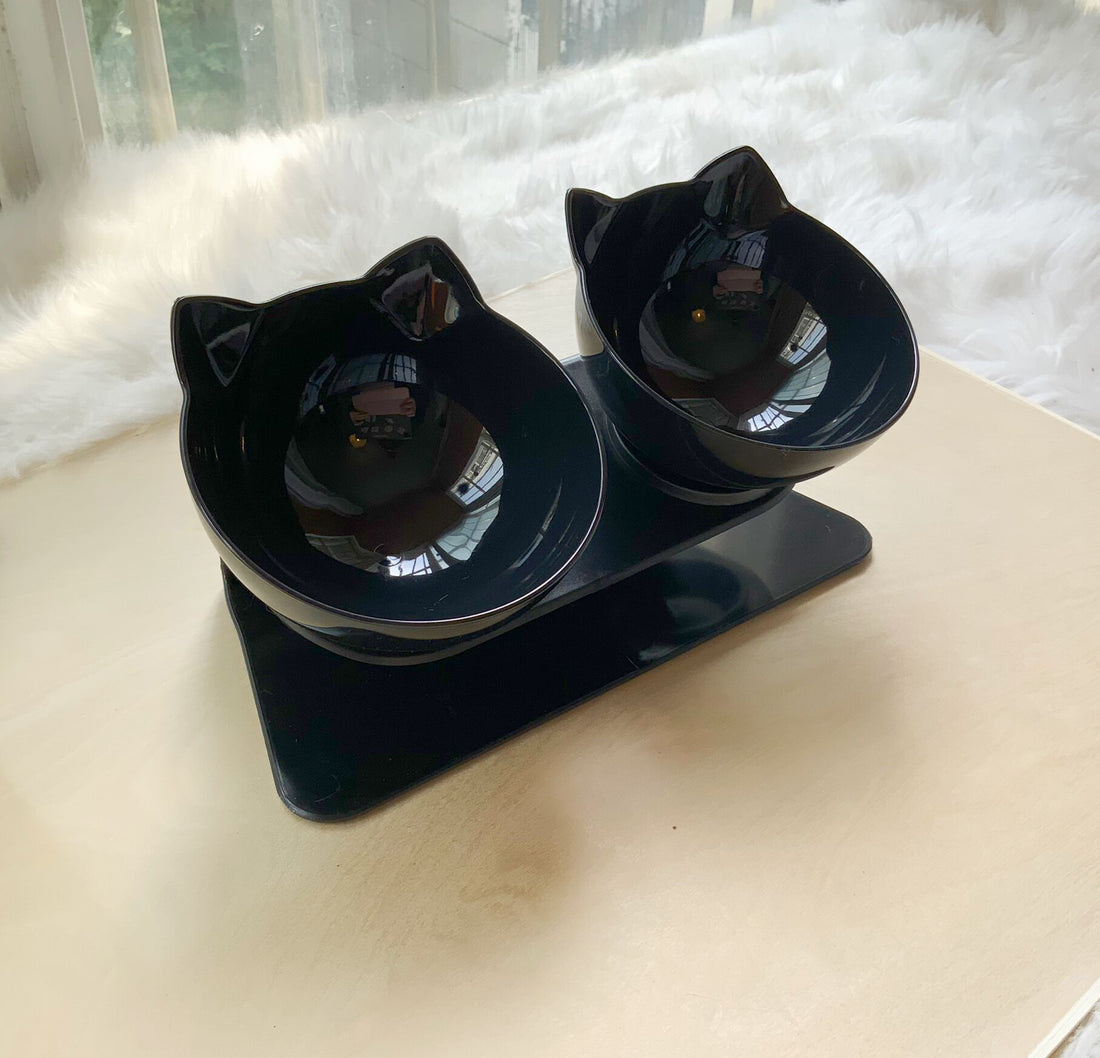 Non Slip Double Raised Pet Feeder Bowl With Stand