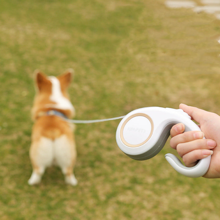 Automatic Retractable Pet Leash Supplies Lead Rope