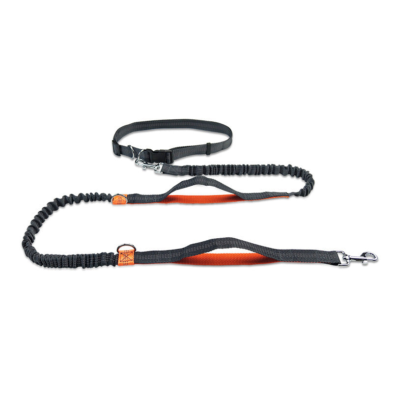 Multifunctional Running Reflective Double Telescopic Pet Leash Lead Rope Chain