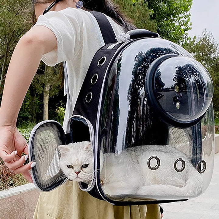 Large Capacity Transparent Breathable Pet Backpack Bag