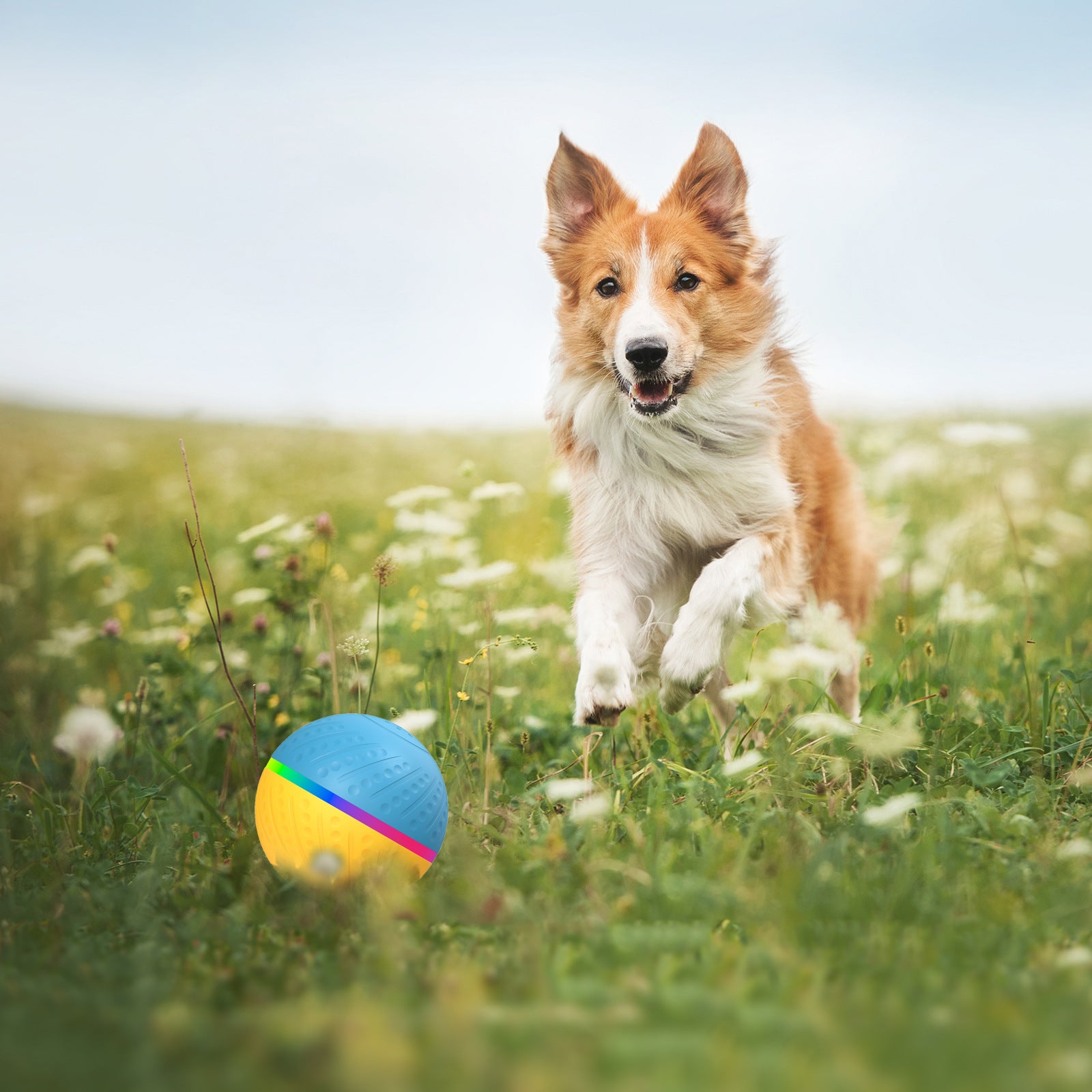 Remote Control Bite-Resistant Interactive Smart Ball Pet Toy