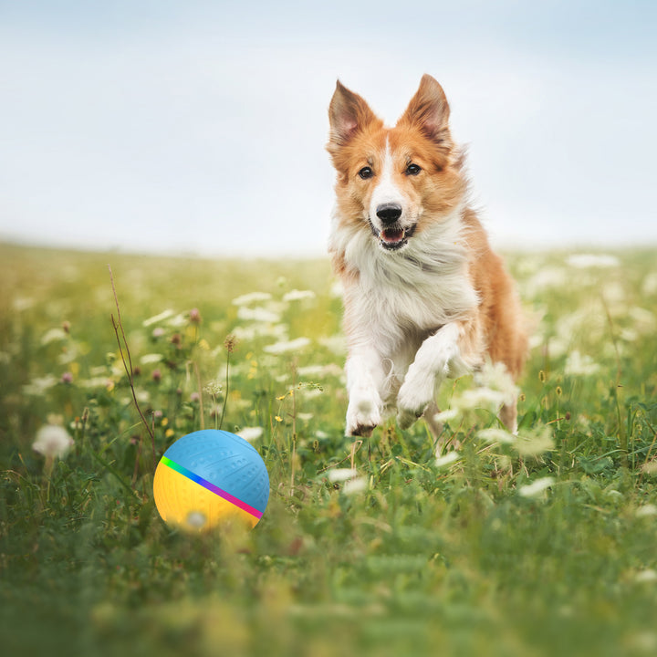 Remote Control Bite-Resistant Interactive Smart Ball Pet Toy