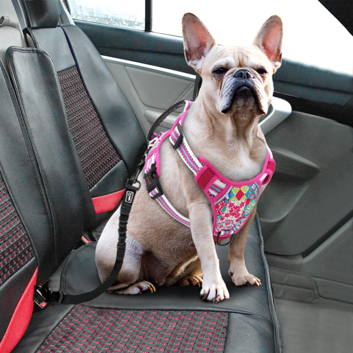 Small Medium Large Pet Leash Chest Harness