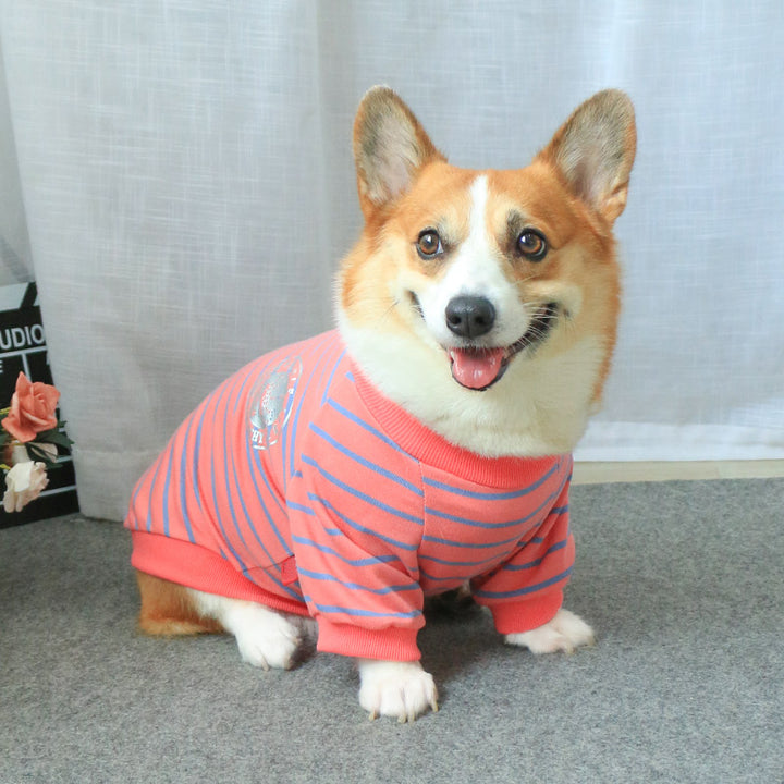 Parent-Child Style Pet Sweater Clothing Set