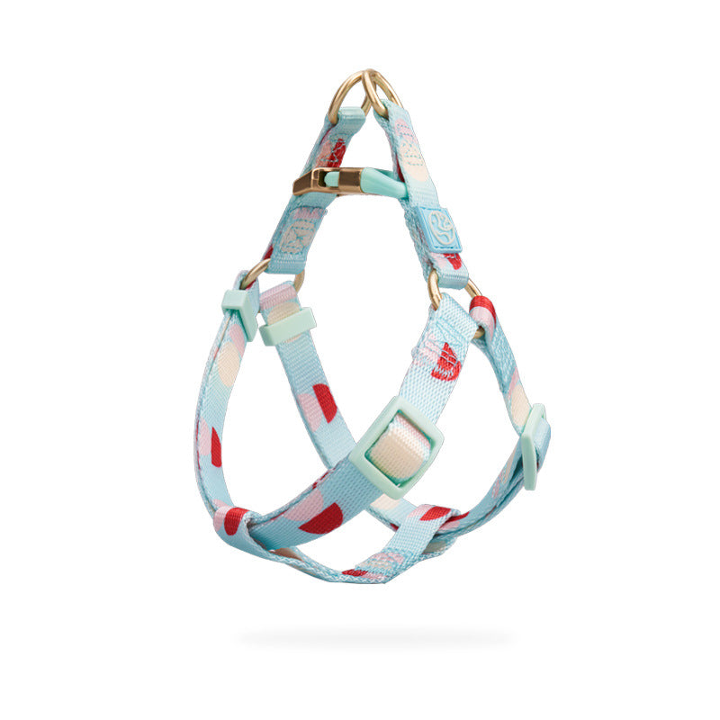 Fashion Y Shaped Chest Strap Pet Leash