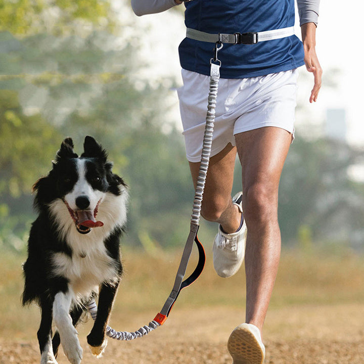 Outdoor Running Pet Leash Supplies Lead Rope