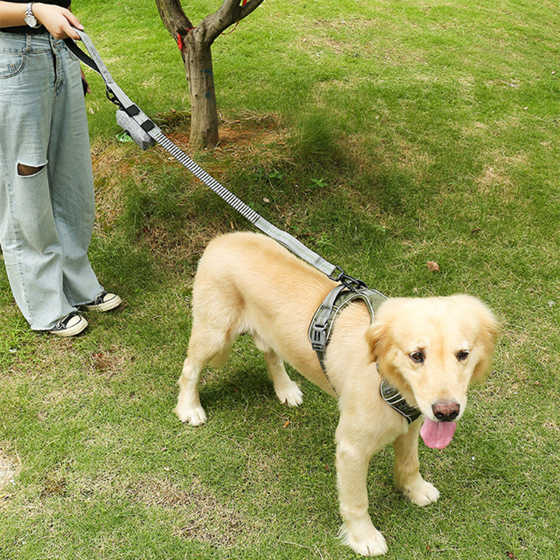 Fluorescent Explosion Proof Elastic Retractable Pet Leash